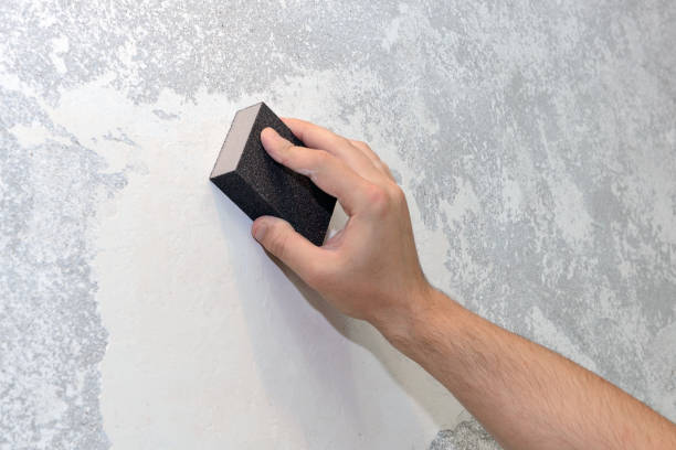 Best Residential Mold Inspection & Testing  in Orland Hls, IL