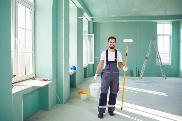 Best Black Mold Removal  in Orland Hls, IL