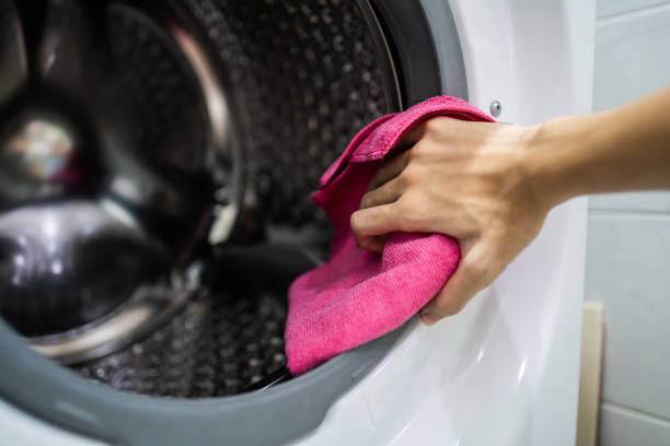 Professional Mold Removal in Orland Hills, IL