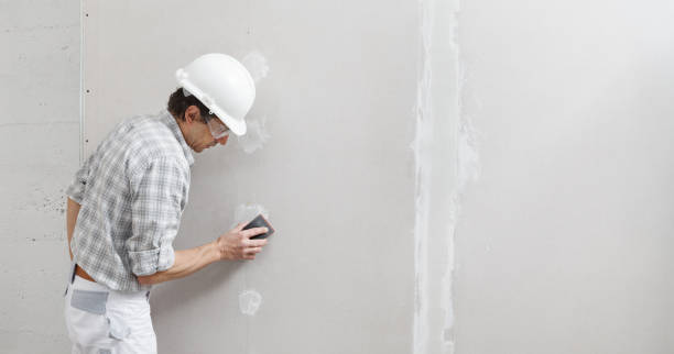 Mold Remediation for Rental Properties in Orland Hills, IL