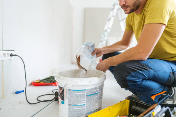 Best Mold Damage Restoration  in Orland Hls, IL