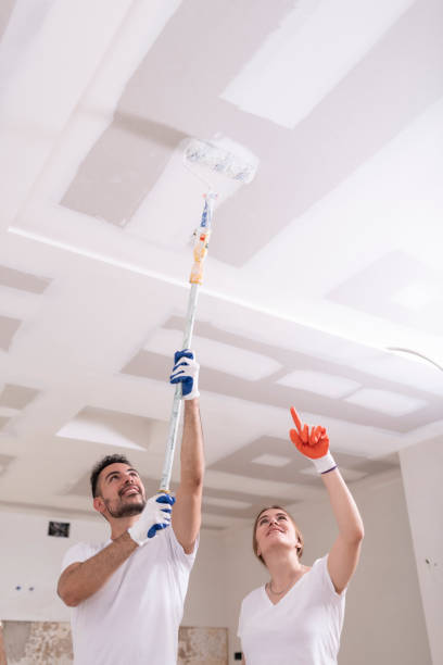 Asbestos and Lead Testing During Mold Inspection in Orland Hills, IL