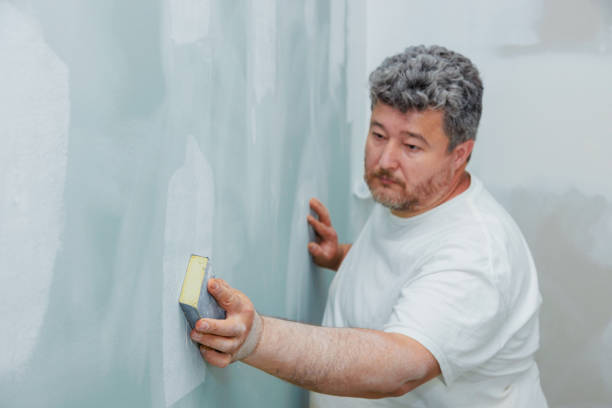 Best Post-Remediation Verification Testing  in Orland Hls, IL