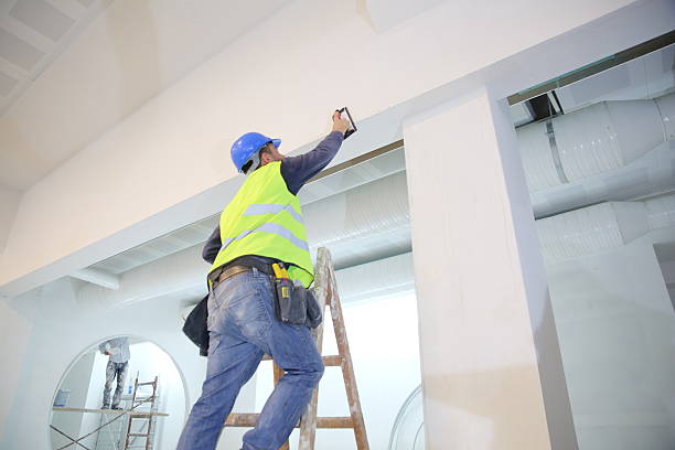 Best Mold Remediation for Healthcare Facilities  in Orland Hls, IL