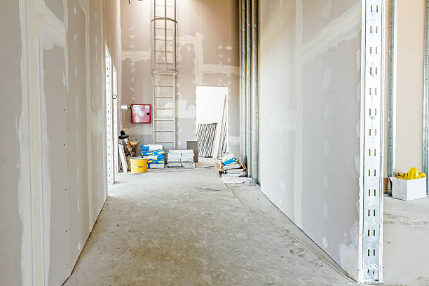Best Attic Mold Removal  in Orland Hls, IL