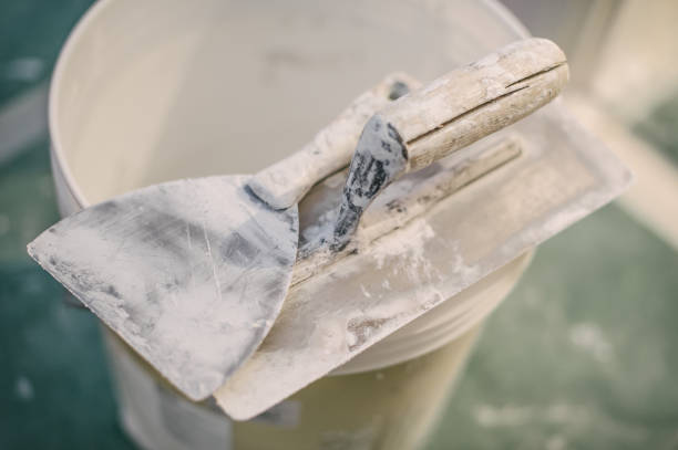  Orland Hls, IL Mold Removal Pros